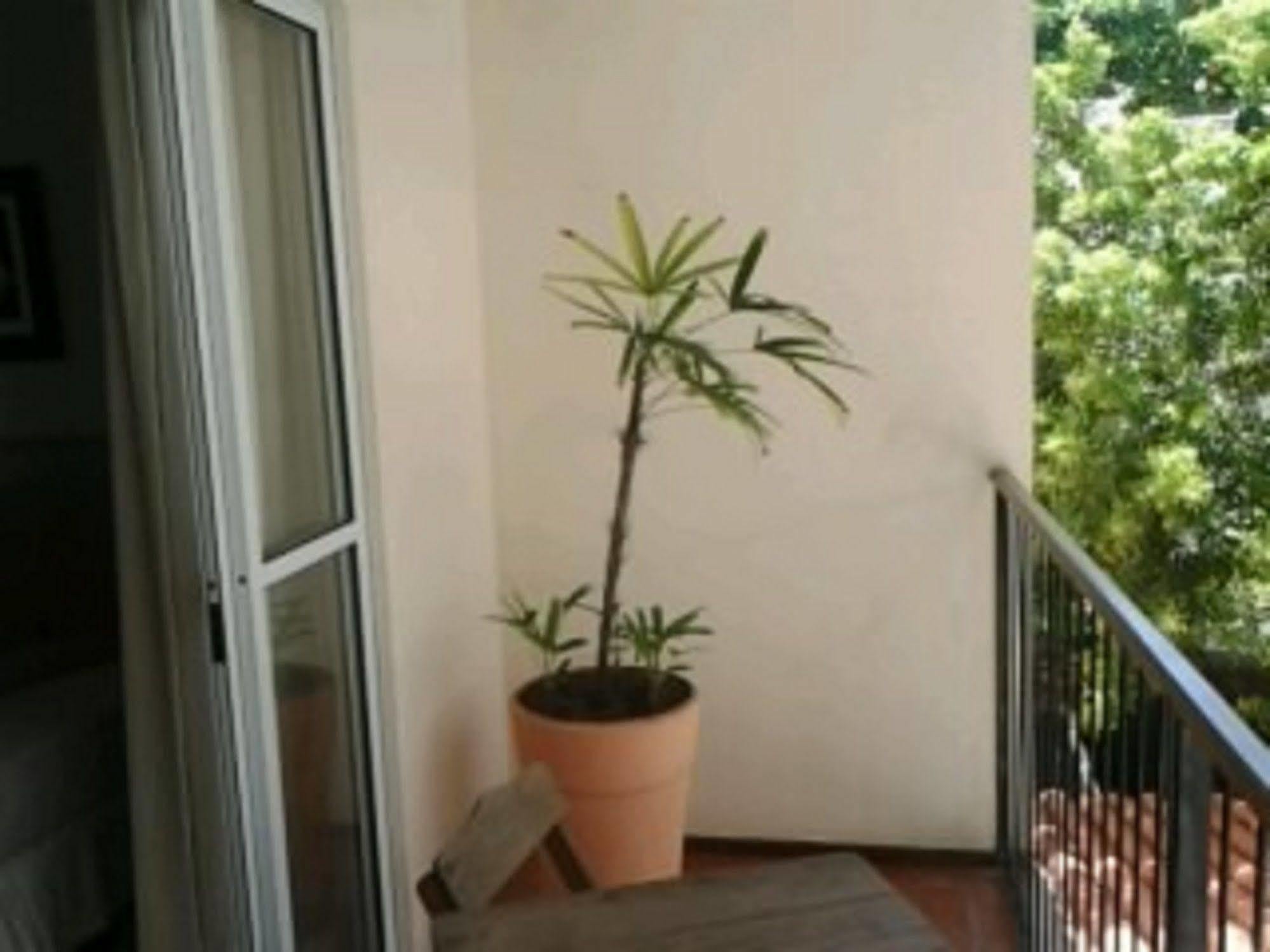 סלבאדור Hotel Charme Fonte Do Boi מראה חיצוני תמונה